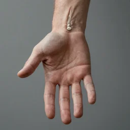 a realistic photo of a human hand, 8k ultra realistic anatomy