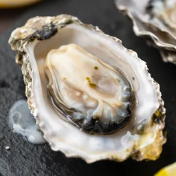 Photograph of a oyster dish, high-definition Michelin Star Quality
