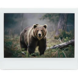 grizzly bear in forest jungle ,   Cinematic focus, Polaroid photo, vintage , neutral dull colors, soft lights, foggy mist ,  by oleg oprisco , by national archives,  by discovery channel, by victor enrich , by gregory crewdson