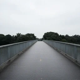 a bridge leading to nothing