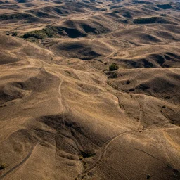photo of terrain