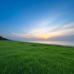 blue sunset over green beach, 4k realistic photo