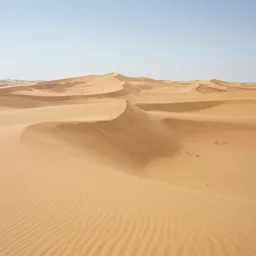barren desert with large sand dunes