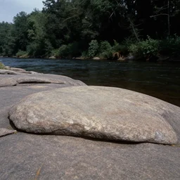 smooth flat rocky environment sunningrocks by the river's shore, forest clearing, still environment matte painting from the fox and the hound ( 1 9 8 1 )