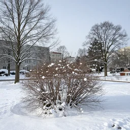 a winter landscape with shrubs and trees on a clear day, in bauhaus style