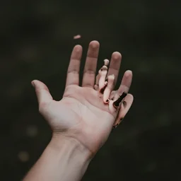 reach out and touch faith
