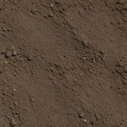 Muddy soil, diffuse texture, seamless