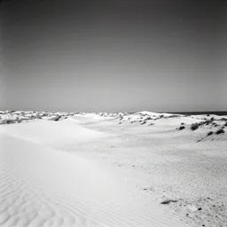 galipoli war shot by ansel adams