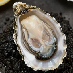 a photo of ron perlman's head in a oyster