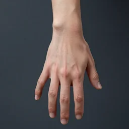human hand!!!!!!!!!!!! homo sapien appendage hand with fingers accurate hand!!!!!!!!!