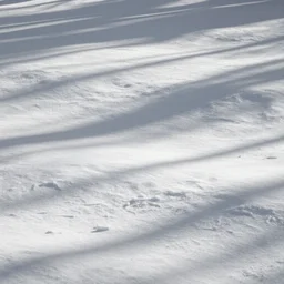 plain white pattern, no detail