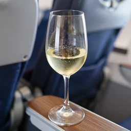 looking down at my glass of wine in premium economy, aeroplane seat, photorealism, highly detailed, wooden armrest, white wine, focus blur, bubbles