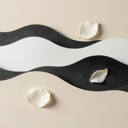 waves and petals + contemporary minimalist beige and black and white charcoal