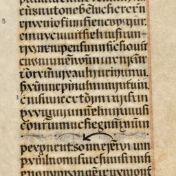 a macro photo scan of a folio of the voynich manuscript, 4 k photography, ms 4 0 8