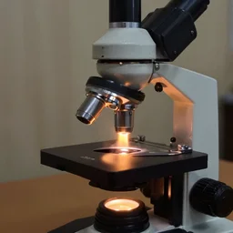 fire seen under the microscope