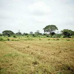 liberia farm