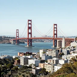 san francisco bay line art by stephen wiltshire