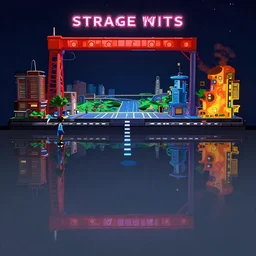 a strange 2 d reflexion videogame