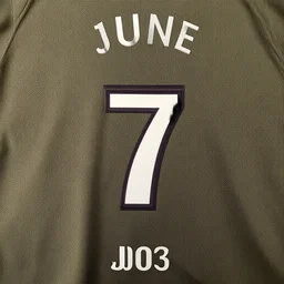 june 1 7 2 0 0 3