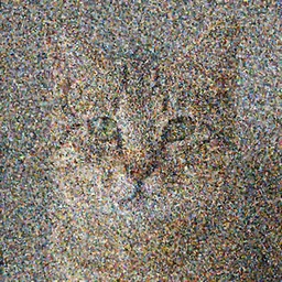 photo of a  cat