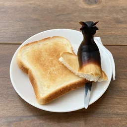 ( ( toast ) ), wander