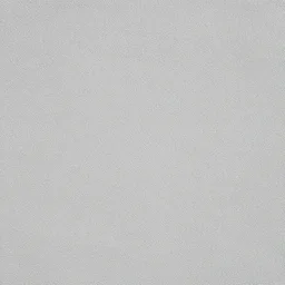 organic texture, black and white