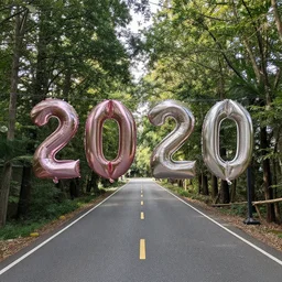 photo of life in the year 2 0 2 0