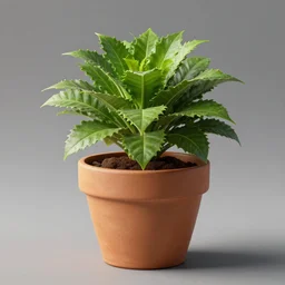flower pot, realistic, 8 k, extremely detailed, cgi, trending on artstation, hyper - realistic render, by greg rutkowski