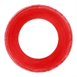 a red circle on white background