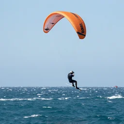 tony hawk pro paragliding
