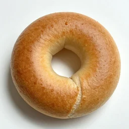 a hypertorus shaped everything bagel
