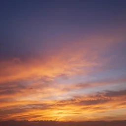vibrant sunset
