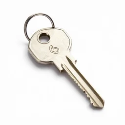 a brand new amazing key from the show key house on netflix - n 6