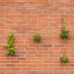 a brick wall with plants growing out of it