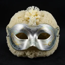 venetian bauta mask glass sponge, hexactinellid