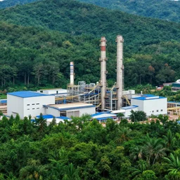 large factory in a beautiful forest and undergrowth