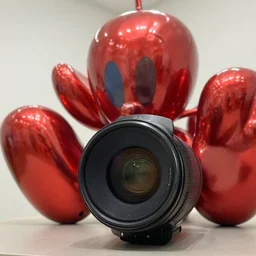 ” sculpture by jeff koons, photo kodak lens, depth of field ”