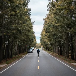 the best of trending on unsplash