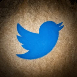 cave painting of the Twitter logo, blue, dslr photo