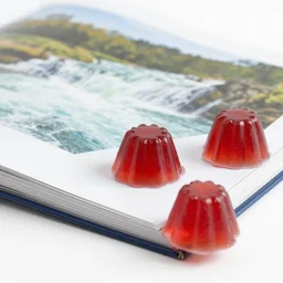 roaring rapids aspic jell - o cookbook photo 8 5 mm scene from tv show 5 5 mm