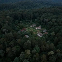 cinematic drone photograph, aerial shot of a lush dark forest, 1 9 8 0 s stephen king atmosphere, abandoned villages