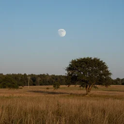 landscape with the moon in the background sigma 1 4 mm f / 1. 8