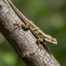 highly detailed photo of a lizard running up a tree, 3 5 mm, 4 k, photorealistic