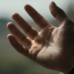 a closeup of a hand