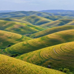 a beautiful lansdcape matte digital art piece of rolling hills painted by james gurney. masterpiece. in the style of google deepdream and fractals.