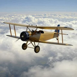 an old biplane flying areound the cloudscape, 8 k, matte painting, in the style of greg simkins and leonardo da vinci and bouguereau,
