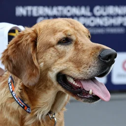close-up press photos of the international gurning championships