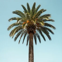 palm tree by greg rutkowski and james gurney.