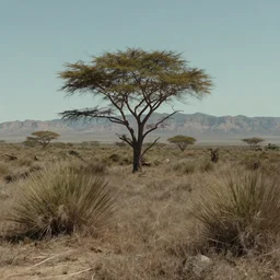 unused footage from koyaanisqatsi