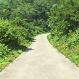 rural country road leading into a brushy area, in the style of haibane renmei, crisp and sharp, volumetric lighting, 4 k